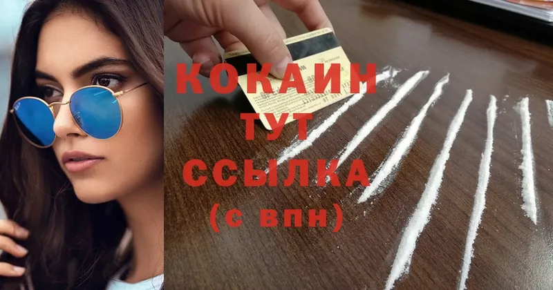 купить  цена  Нижняя Тура  mega   COCAIN FishScale 