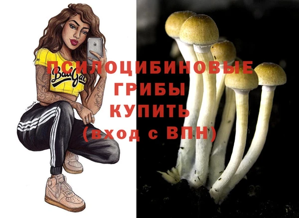 твердый Навашино