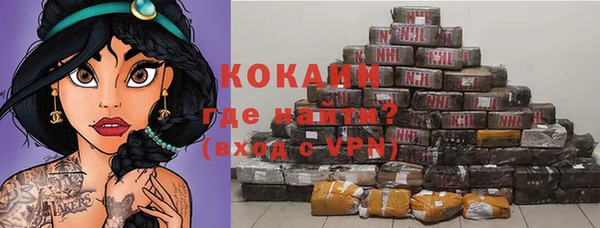 экстази Бикин